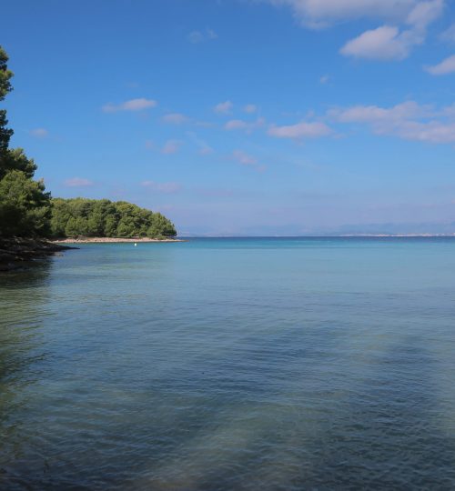 île de bol Zlatni Rat Croatie - Un brin de Lylla